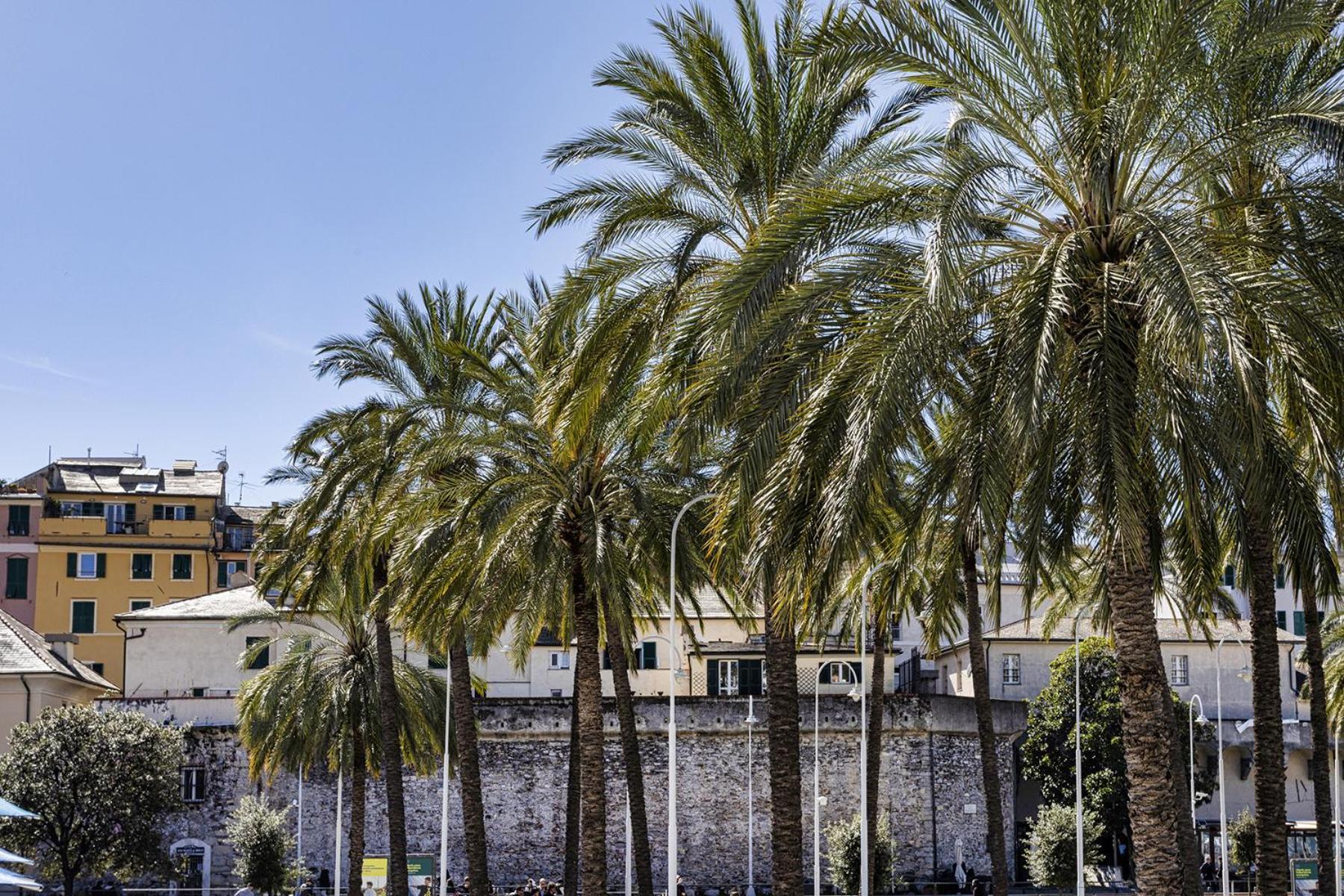 Alle Mura Del Molo Apartment By Wonderful Italy Genoa Bagian luar foto
